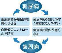 歯周病と糖尿病との関わり